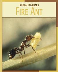 Book Cover for Fire Ant by Barbara A Somervill