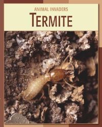 Book Cover for Termite by Susan Heinrichs Gray