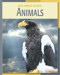 Book Cover for Animals by Stuart P Levine