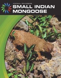 Book Cover for Small Indian Mongoose by Barbara A Somervill