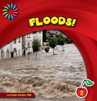 Book Cover for Floods! by Cecilia Minden