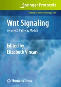 Book Cover for Wnt Signaling by Elizabeth Vincan
