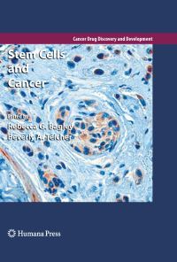 Book Cover for Stem Cells and Cancer by Rebecca G Bagley, Beverly A Teicher