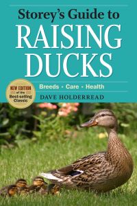 Book Cover for Storey's Guide to Raising Ducks by Dave Holderread