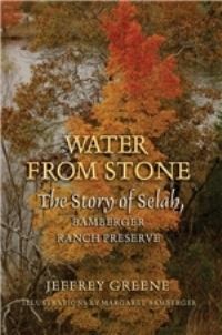Book Cover for Water from Stone by Jeffrey Greene