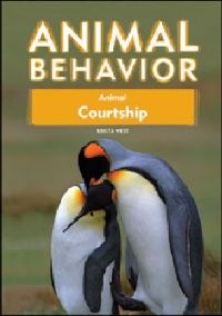 Book Cover for Animal Courtship by Krista West