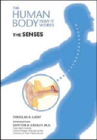 Book Cover for The Senses by Douglas B. Light