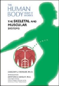 Book Cover for The Skeletal and Muscular Systems by Gregory John Stewart