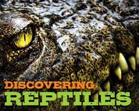 Book Cover for Discovering Reptiles Handbook by Cider Mill Press