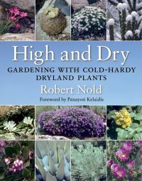 Book Cover for High and Dry by Robert Nold