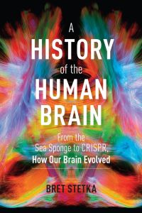 Book Cover for A History of the Human Brain by Bret Stetka
