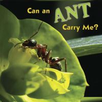 Book Cover for Can an Ant Carry Me? by Meg Greve