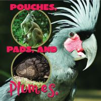 Book Cover for Pouches, Pads, and Plumes by Lynn Stone
