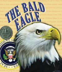 Book Cover for The Bald Eagle by Kelli Hicks
