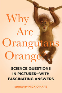 Book Cover for Why Are Orangutans Orange? by Mick OHare