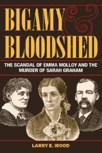 Book Cover for Bigamy and Bloodshed by Larry Wood