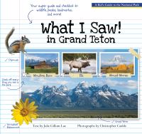 Book Cover for What I Saw in Grand Teton by Julie Gillum Lue
