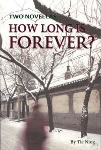 Book Cover for How Long Is Forever by Ning Tie