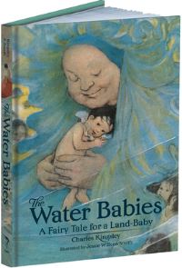 Book Cover for The Water Babies by Charles Kingsley