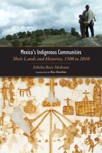 Book Cover for Mexico's Indigenous Communities by Ethelia Ruiz Medrano, Russ Davidson