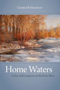 Book Cover for Home Waters by George B Handley