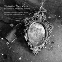 Book Cover for When the Water Came by Cynthia Hogue, Rebecca Ross