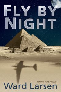Book Cover for Fly by Night by Ward Larsen