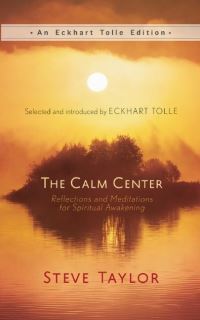 Book Cover for The Calm Center by Steve Taylor