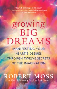 Book Cover for Growing Big Dreams by Robert Moss