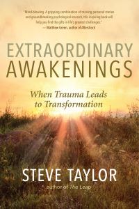 Book Cover for Extraordinary Awakenings by Steve Taylor