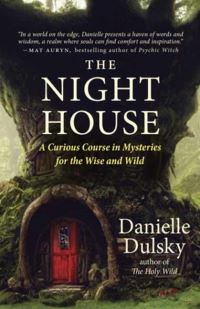 Book Cover for The Night House by Dulsky Danielle