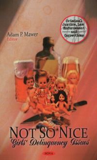 Book Cover for Not So Nice by Adam P Mawer