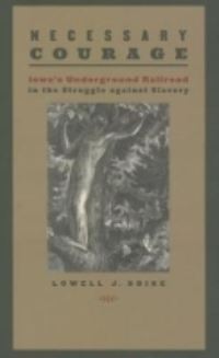 Book Cover for Necessary Courage by Lowell J Soike