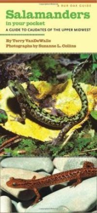 Book Cover for Salamanders in Your Pocket by Terry VanDeWalle