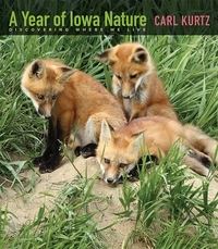 Book Cover for A Year of Iowa Nature by Carl Kurtz