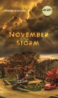 Book Cover for November Storm by Robert Oldshue