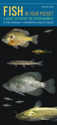 Book Cover for Fish in Your Pocket by Terry VanDeWalle