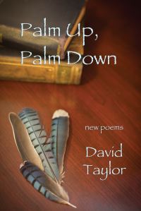 Book Cover for Palm Up, Palm Down by David Taylor