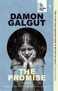 Book Cover for The Promise by Damon Galgut