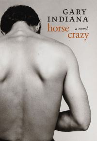 Book Cover for Horse Crazy by Gary Indiana