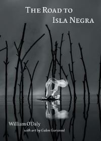 Book Cover for The Road to Isla Negra by William ODaly