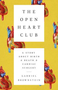 Book Cover for The Open Heart Club by Gabriel Brownstein