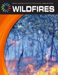 Book Cover for Wildfires by Tamra Orr