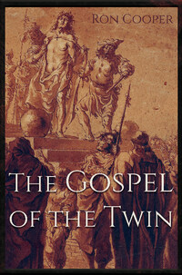 Book Cover for The Gospel of the Twin by Ron L Cooper