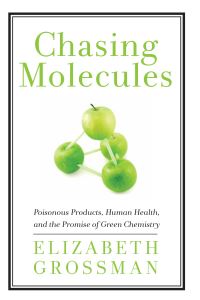 Book Cover for Chasing Molecules by Elizabeth Grossman