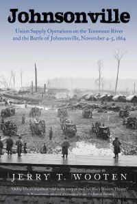 Book Cover for Johnsonville by Jerry T Wooten