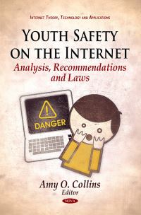 Book Cover for Youth Safety on the Internet by Amy O Collins