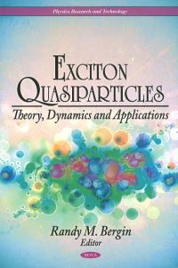 Book Cover for Exciton Quasiparticles by Randy M Bergin