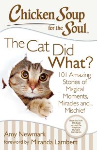 Book Cover for Chicken Soup for the Soul by Amy Newmark