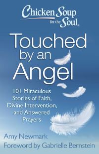 Book Cover for Chicken Soup for the Soul by Amy Newmark